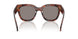 23F80Q - Tortoise - Dark Grey