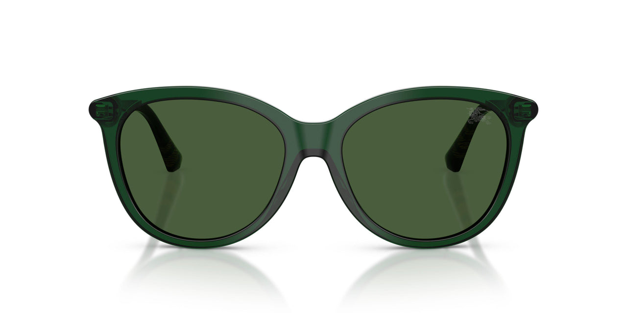 416271 - Green - Dark Green