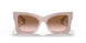 17C0A6 - Pink - Brown Gradient