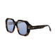 53X - Shiny Havana - Blu Mirror