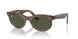 138331 - Grey - Green