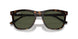902/31 - Tortoise - Green