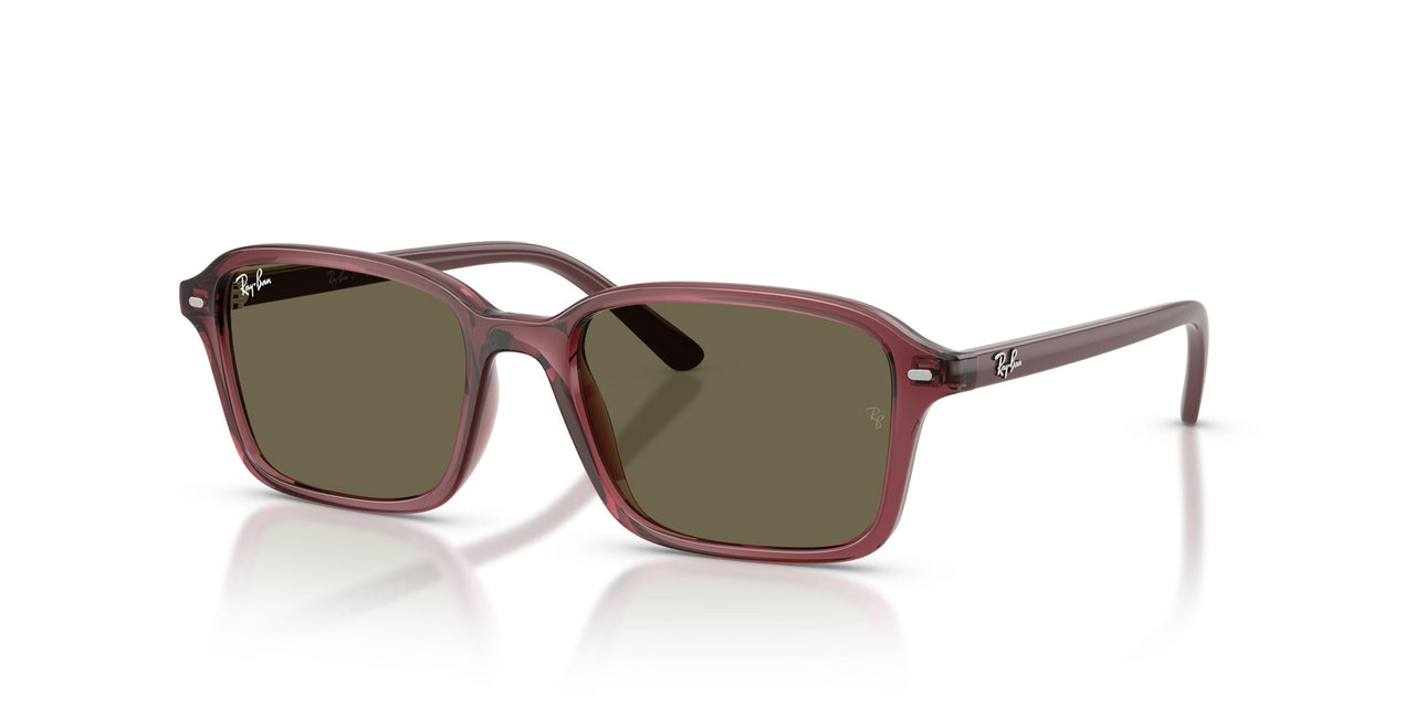 7197/3 - Violet - Brown