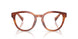 3221 - Brown
