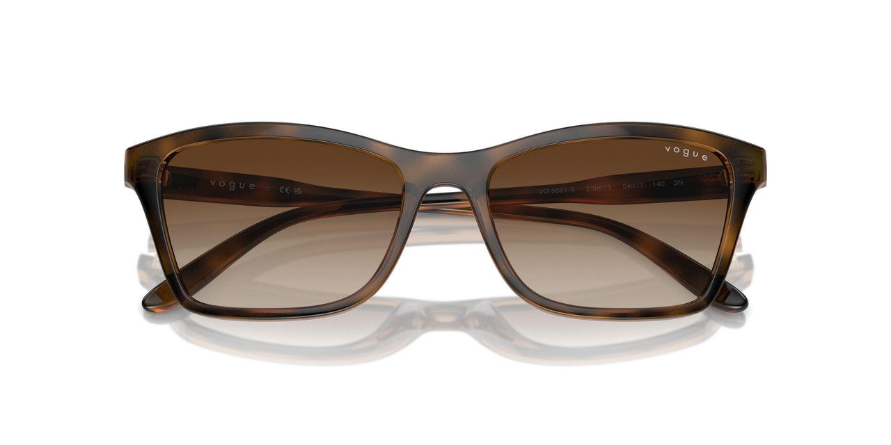 238613 - Brown - Brown Gradient