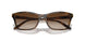 238613 - Brown - Brown Gradient