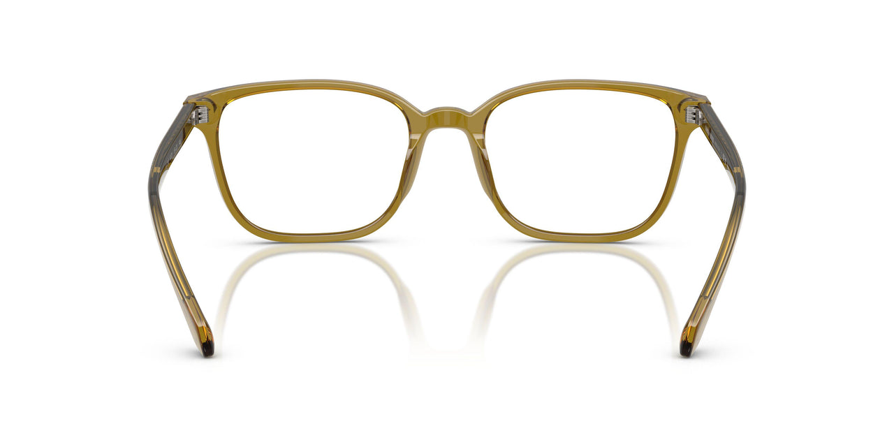 6172 - Brown