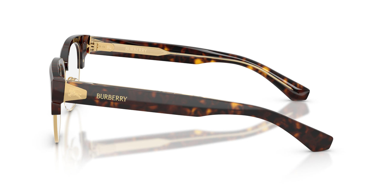 3002 - Brown