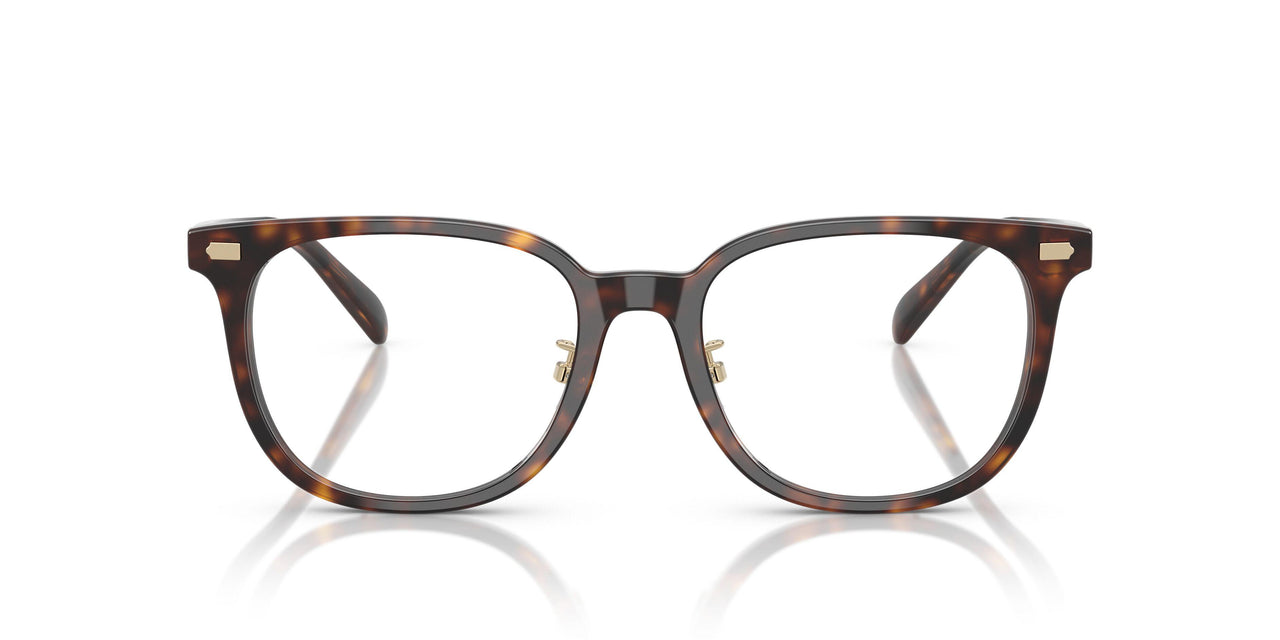 5120 - Tortoise