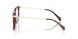 4016 - Brown