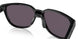 925001 - Black - Prizm Grey