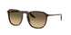 Ray-Ban 2203 Sunglasses