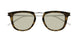 007 - Havana/Silver - Brown