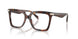 4031 - Tortoise