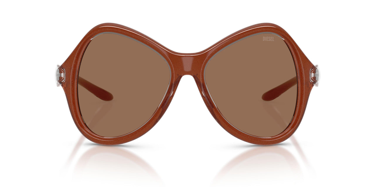 203373 - Clear - Dark Brown
