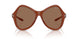 203373 - Clear - Dark Brown