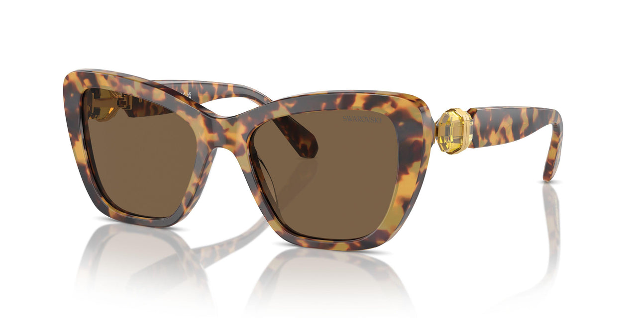 104073 - Tortoise - Dark Brown