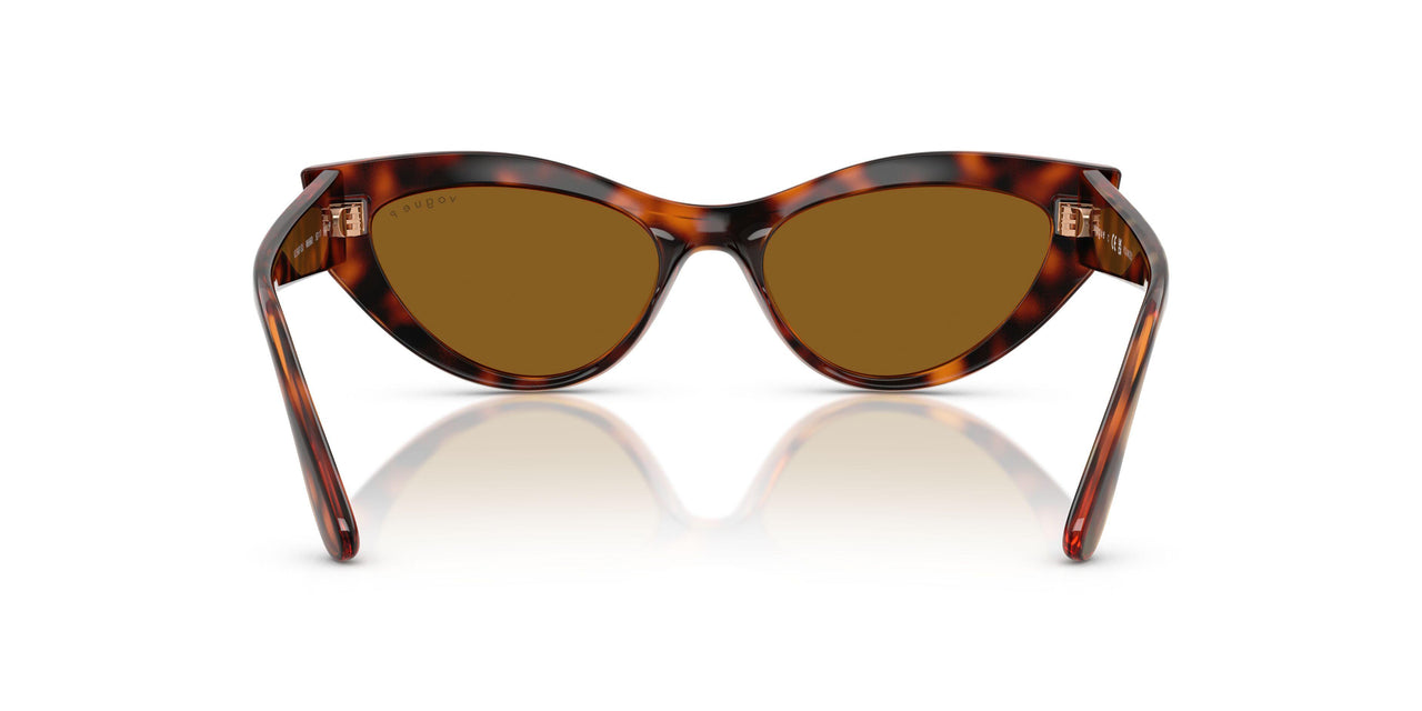W65683 - Brown - Dark Brown Polar