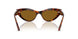 W65683 - Brown - Dark Brown Polar