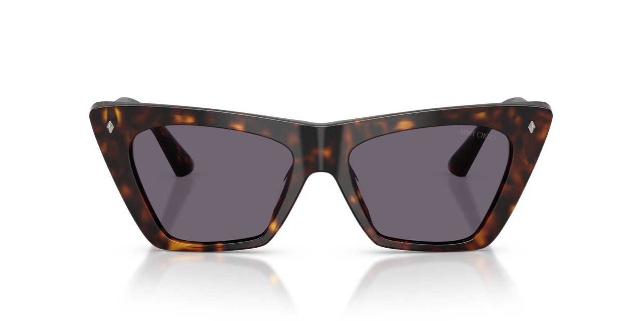 50021A - Tortoise - Violet