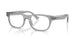 Polo 2317F Eyeglasses