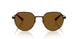 947183 - Brown - Brown Solid Polar