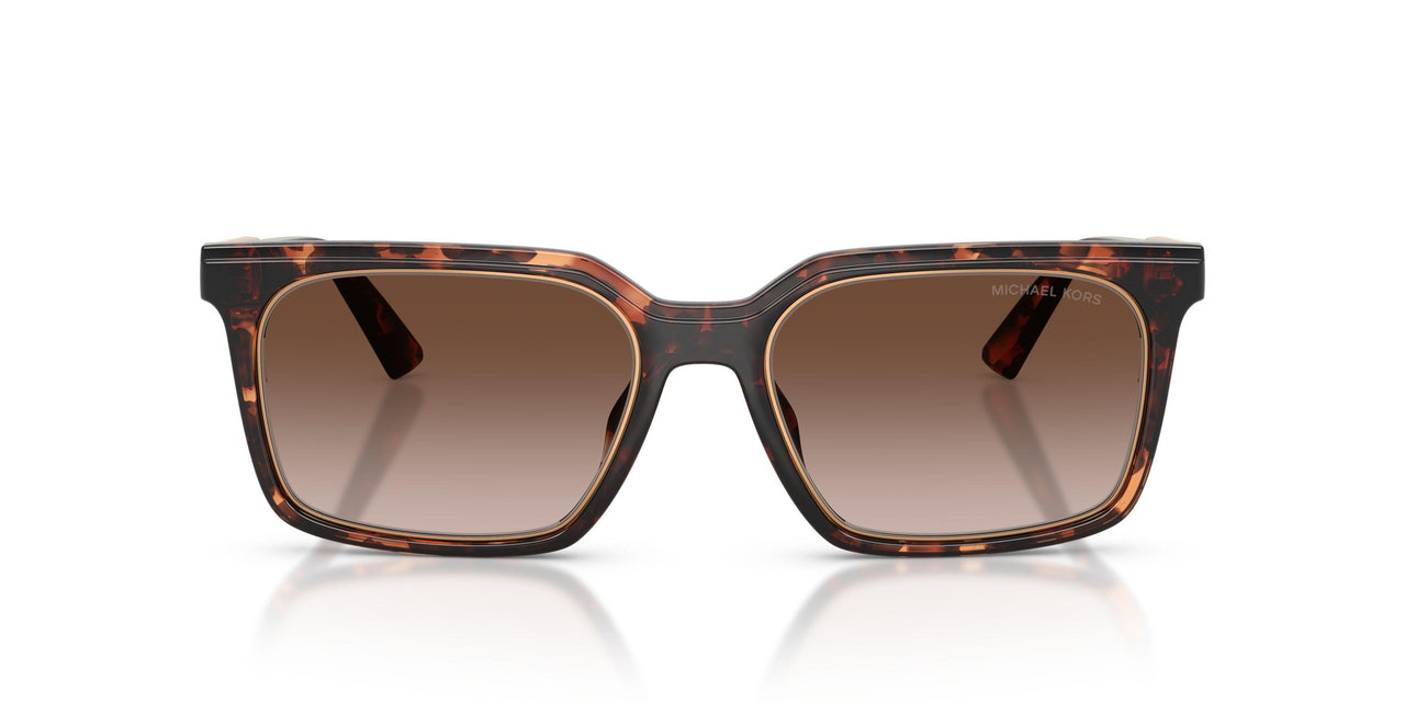 300613 - Tortoise - Smoke Gradient