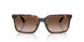 300613 - Tortoise - Smoke Gradient