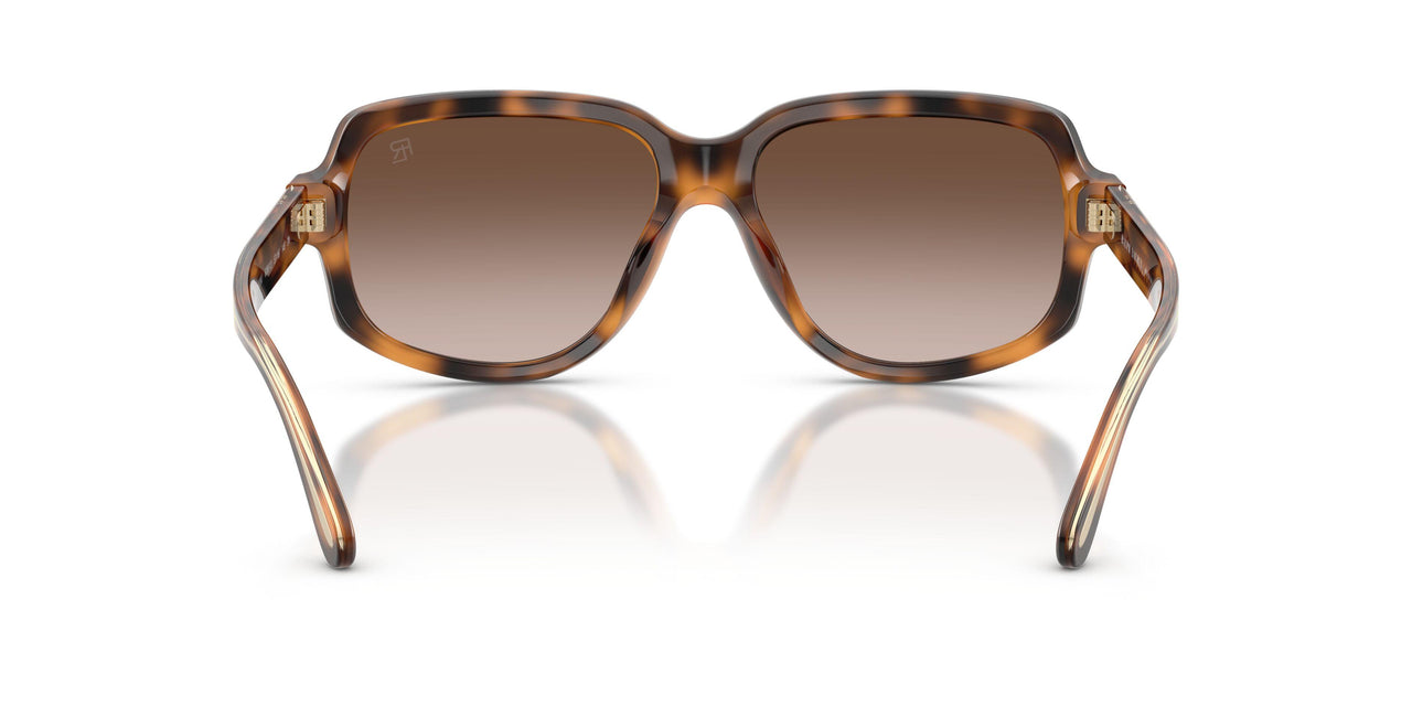 608913 - Tortoise - Gradient Brown