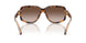 608913 - Tortoise - Gradient Brown