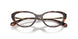 4031 - Tortoise