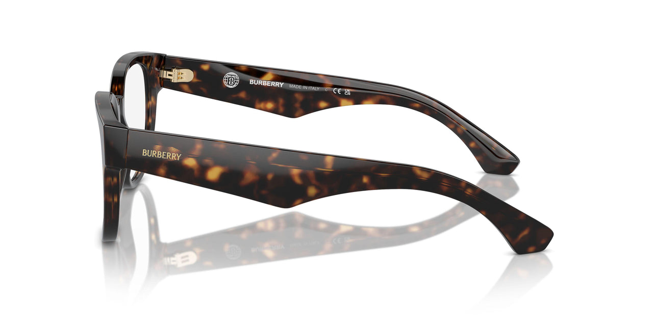 3002 - Brown