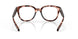 905103 - Tortoise