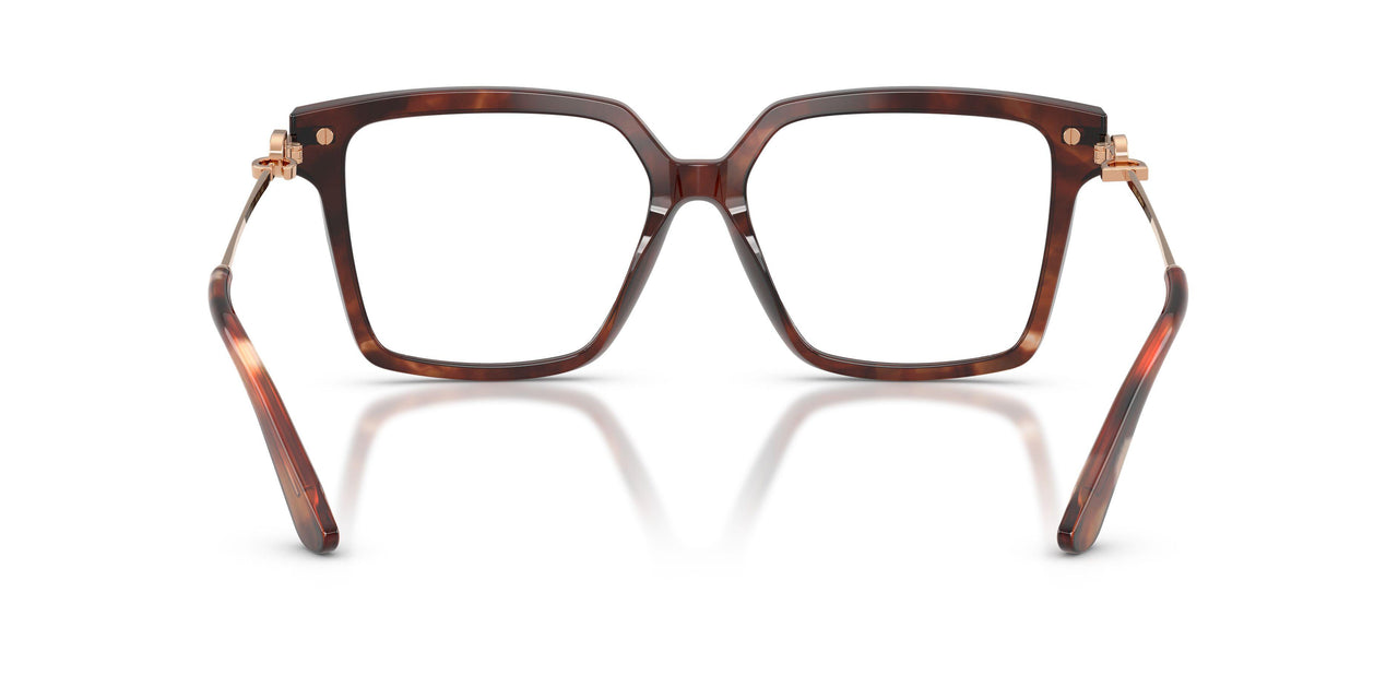 3222 - Tortoise