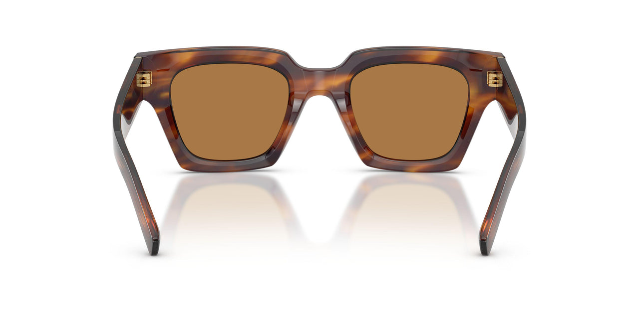 306373 - Tortoise - Bronze