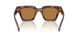306373 - Tortoise - Bronze