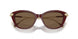 105673 - Violet - Dark Brown