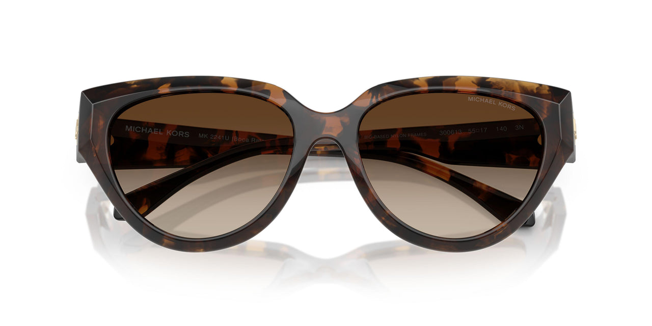 300613 - Tortoise - Smoke Gradient