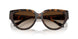 300613 - Tortoise - Smoke Gradient