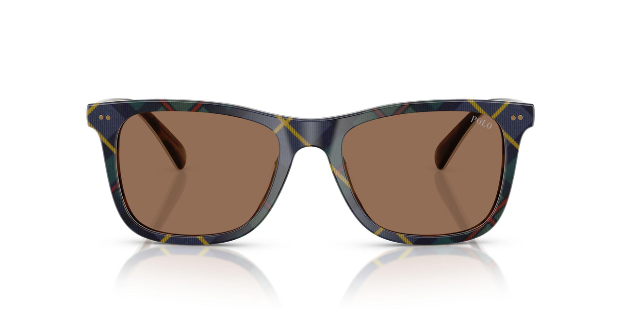 562573 - Multicolor - Dark Brown