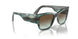 3088E8 - Green - Green Gradient Dark Brown