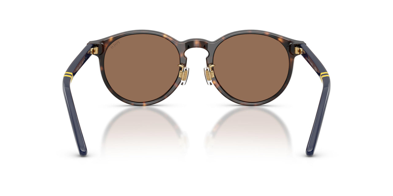 500373 - Tortoise - Brown