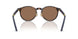 500373 - Tortoise - Brown