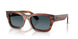 954/S3 - Brown - Gradient Blue