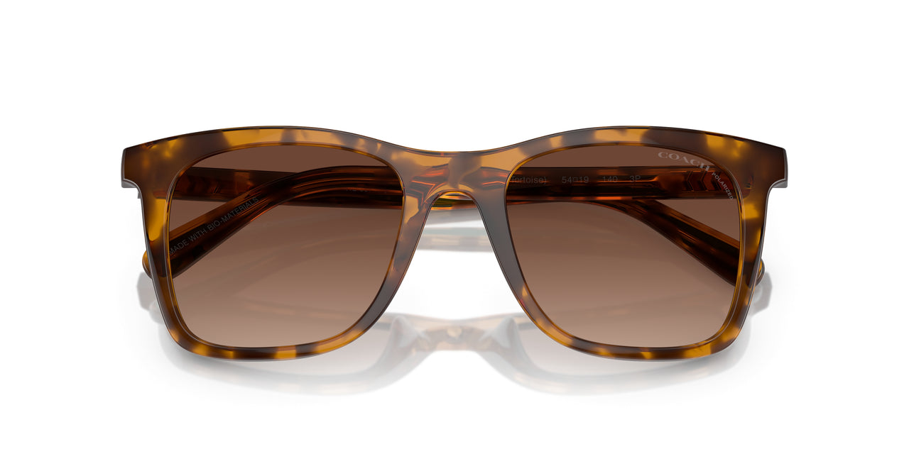 5120T5 - Tortoise - Brown Gradient Polar