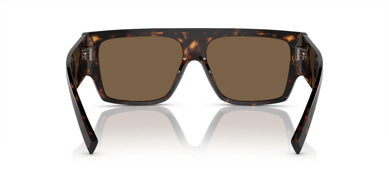 502/73 - Tortoise - Dark Brown