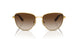 280/13 - Gold - Brown Gradient