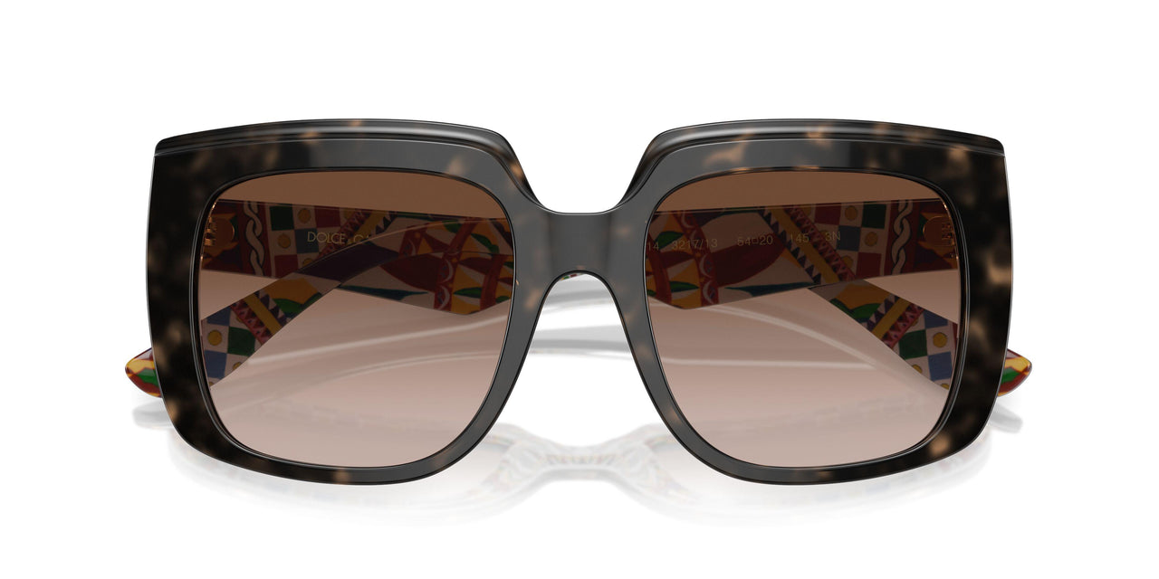 321713 - Tortoise - Gradient Brown