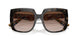 321713 - Tortoise - Gradient Brown