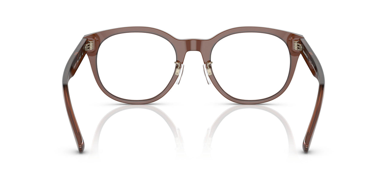 5044 - Brown